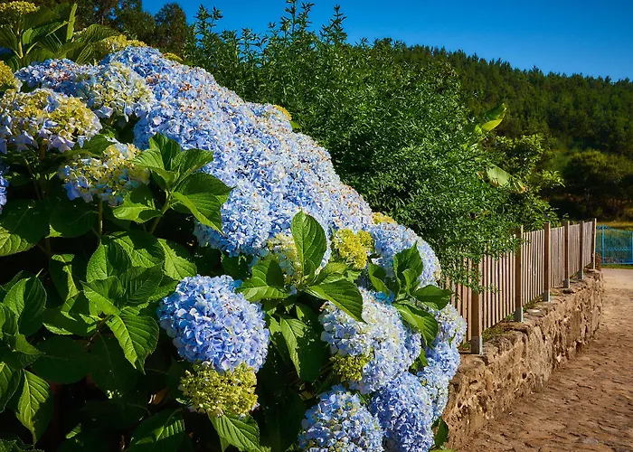 As Chivas Landhuis Redondela